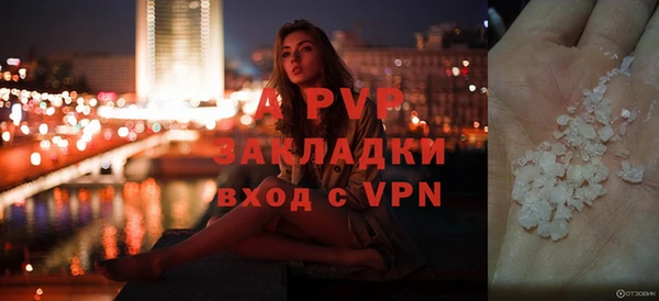прущие грибы Каменск-Шахтинский
