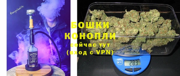 спайс Карпинск
