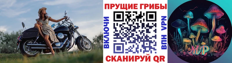 Галлюциногенные грибы Cubensis  Можайск 
